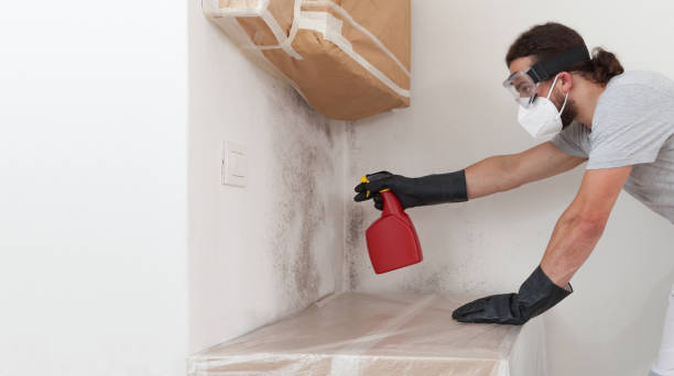 Professional Basement Mold Remediation technician working in Grass Lake, MI
