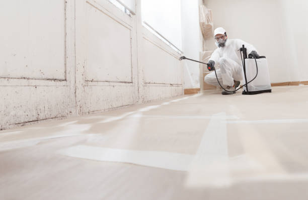 24/7 Emergency Basement Mold Remediation experts in Grass Lake, MI