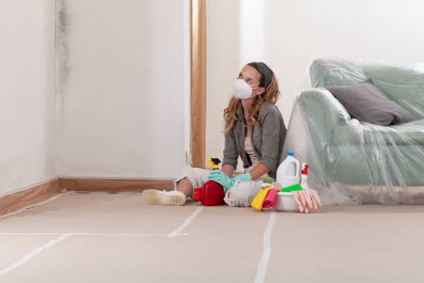 Reliable Basement Mold Remediation contractor in Grass Lake, MI by Mold Remediation HQ